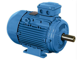 Electric Motors Manufacturers