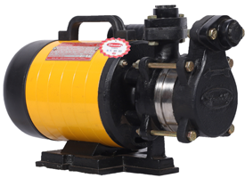 Self Priming Monoblock Pumps